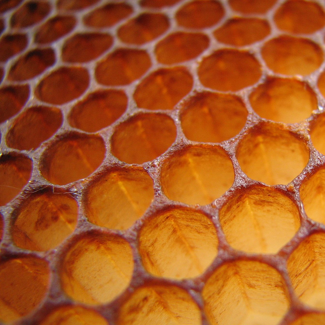 Nature's Energy Nootropic